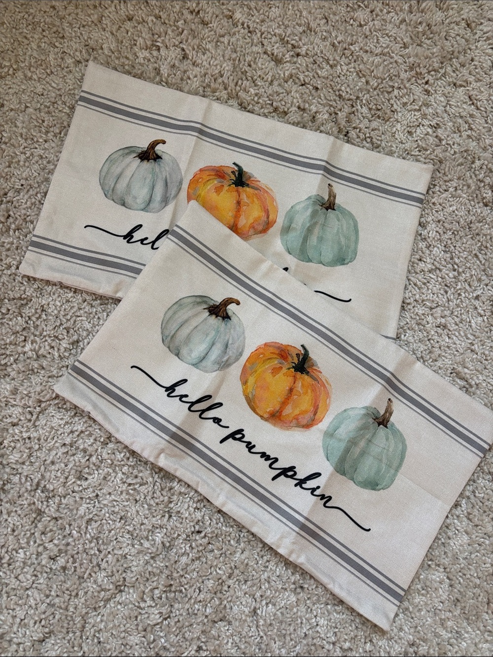 Hello Pumpkin Decorative pillow covers- Cream with Orange & Sage Pumpkins
